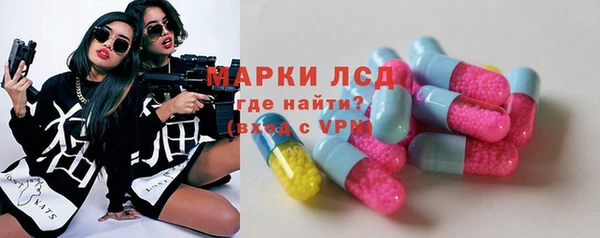 гашик Нефтекумск