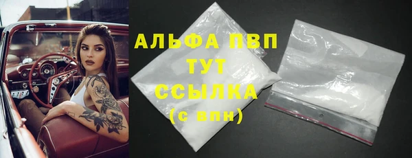 гашик Нефтекумск
