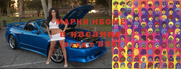 гашик Нефтекумск