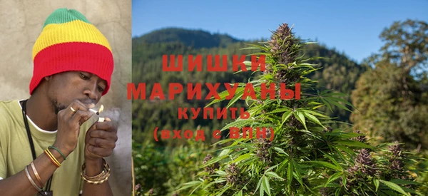 гашик Нефтекумск