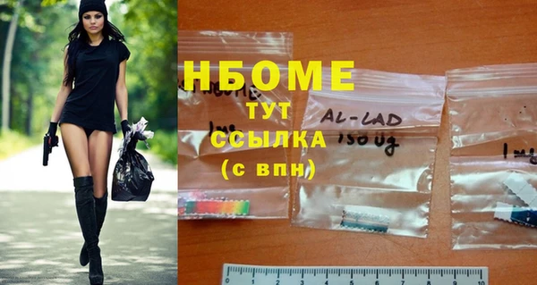 гашик Нефтекумск