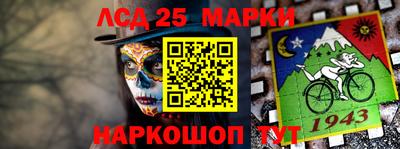 гидра Гатчина