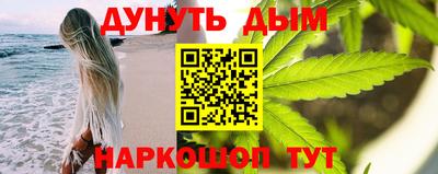 гидра Гатчина