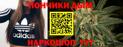гидра Гатчина