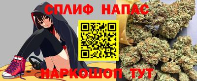 эйфоретик Гай