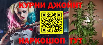 эйфоретик Гай