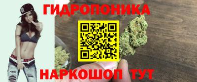 гидра Гатчина