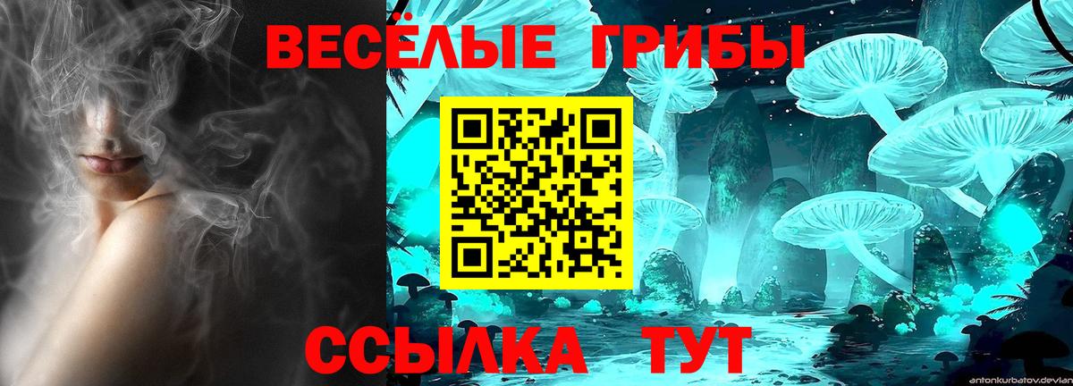 Псилоцибиновые грибы Magic Shrooms  Вход с VPN  Кириши 