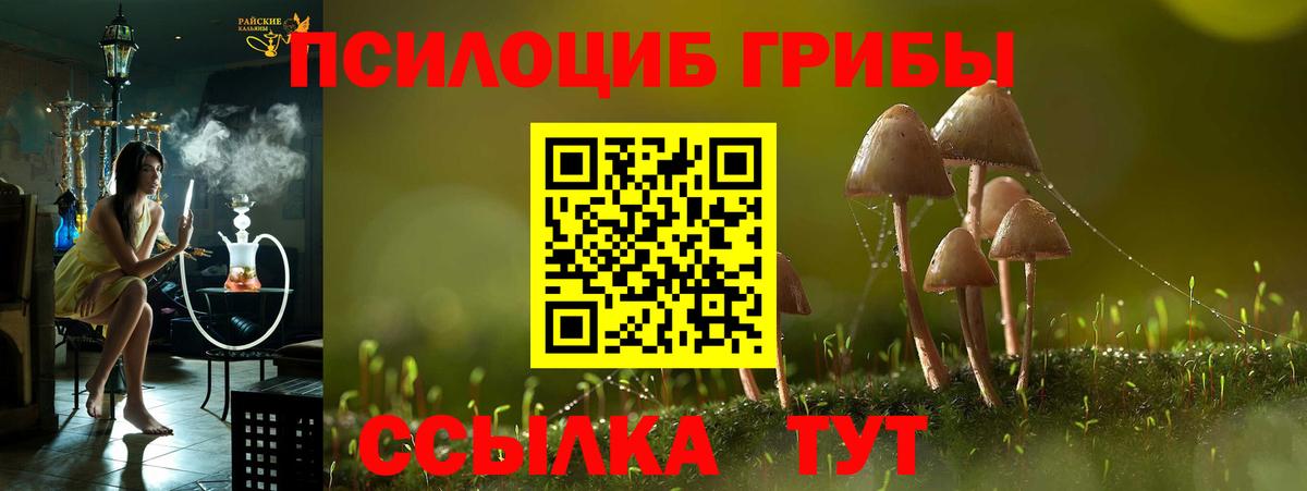 Галлюциногенные грибы прущие грибы Кириши